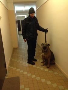 Найдена собака Немецкая овчарка - Россия, Москва