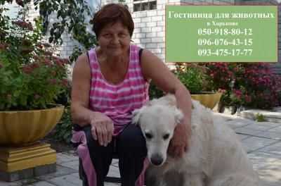 Ветеринарные услуги Настоящая гостиница для животны в Харькове - Украина, Харьков. Цена 100 гривен