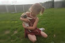 Puppies for sale pug - Ukraine, Ivano-Frankivsk