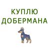 Куплю щенка Россия, Москва Доберман