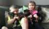 Puppies for sale Cyprus, Limassol Yorkshire Terrier