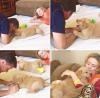 Puppies for sale Cyprus, Limassol Golden Retriever