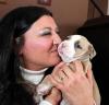 Puppies for sale Greece, Athens American Pit-Bull Terrier