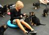 Puppies for sale Sweden, Stockholm German Shepherd Dog