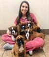 Puppies for sale France, Grenoble Boxer