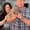 Puppies for sale Portugal, Lisbon French Bulldog
