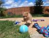 Puppies for sale Sweden, Malmo Pomeranian Spitz