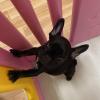 Puppies for sale USA, North Carolina, Chicago French Bulldog, Frenchies