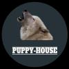 Питомник собак PUPPY-HOUSE Сибирский хаски Краснодар