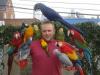 Зоомагазин Talking and Singing Blue and gold Macaw Parrots Москва