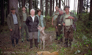 Охота с веймаранером, проверка охотничьих качеств собаки