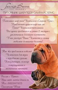 Продам щенка Шарпей - Россия, Москва, Москва. Цена 30000 рублей