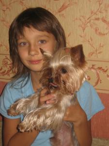 Продам щенка Йоркширский терьер - Украина, Киев. Цена 300 долларов