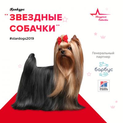 Ветеринарные услуги Конкурс «Звездные собачки»  - Украина, Одесса