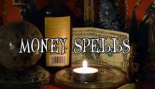 Buy a dog akita, spiritual money black magic spells+27606842758. - USA, Florida, Jacksonville, Nelspruit. Price 200 $