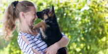 Puppies for sale german shepherd dog - Russia, Astrakhan