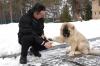 Дрессировка собак Украина, Киев Дрессировка собак с проблемным поведениeм