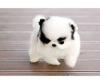 Puppies for sale United Kingdom, London Pomeranian Spitz