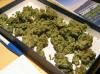 Services handler Azerbaijan, Ganja 