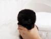 Puppies for sale United Kingdom, Coventry Pomeranian Spitz