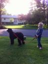 Puppies for sale USA, California Afghan Hound