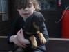 Puppies for sale Czech Republic, Dunajska Streda Doberman