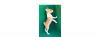 Puppies for sale Greece, Athens Basenji