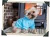Puppies for sale Cyprus, Limassol Yorkshire Terrier, kenlinda913@gmail.com