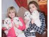 Puppies for sale Cyprus, Larnaca Bichon