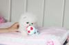 Puppies for sale Canada, Yukon Pomeranian Spitz