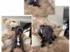 Puppies for sale Cyprus, Larnaca Staffordshire Bull Terrier