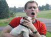 Puppies for sale Spain, Alicante English Bulldog
