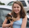 Puppies for sale Belarus, Maladzyechna Yorkshire Terrier