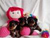 Puppies for sale France, Limoges Yorkshire Terrier
