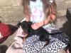 Puppies for sale Czech Republic, Brno Miniature Pinscher