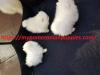 Puppies for sale Slovakia, Plzen Pomeranian Spitz