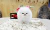 Puppies for sale Spain, Madrid Pomeranian Spitz
