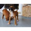 Puppies for sale Czech Republic, Brno Boxer