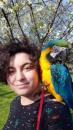 Puppies for sale Germany, Augsburg , macaw parrot