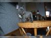 Puppies for sale Finland, Lahti French Bulldog