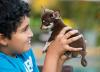 Puppies for sale Cyprus, Nicosia Chihuahua