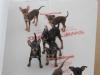 Puppies for sale Portugal, Port Miniature Pinscher
