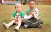 Puppies for sale Belgium, Gant American Staffordshire Terrier