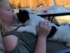 Puppies for sale Cyprus, Paphos Lhasa Apso