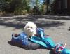 Puppies for sale Italy, Naples Maltese