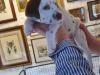 Puppies for sale Czech Republic, Brno Dalmatian