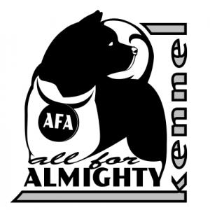 American Akita ALL FOR ALMIGHTY kennel. Большая японская собака, Акита, акита-ину