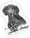 Dog breeders, dog kennels Fantom Indigo 