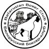 Клуб любителей собак Белорусский Боксер клуб Минск